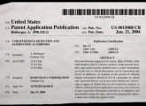 Gotham Patent Application